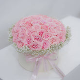 Daydream Rose